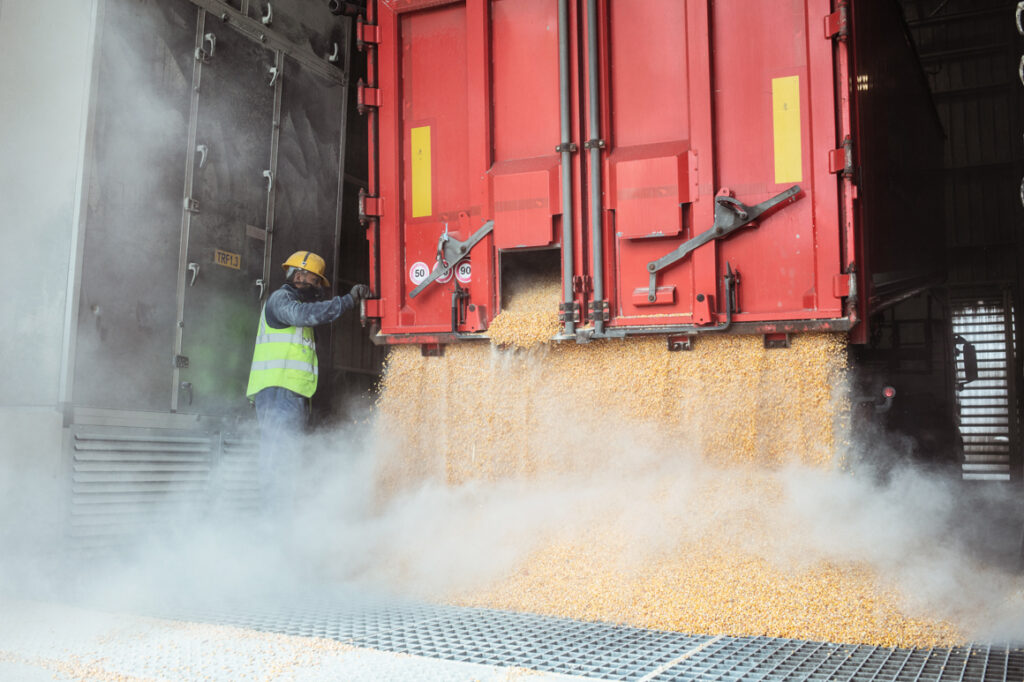 Crop rush: From February until the end of October 2022, 5.7 million tons of Ukrainian grain were transported through Constanța.